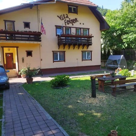 Villa Foisor Buşteni エクステリア 写真