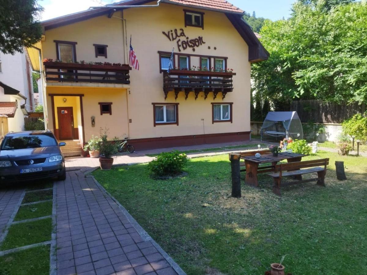 Villa Foisor Buşteni エクステリア 写真