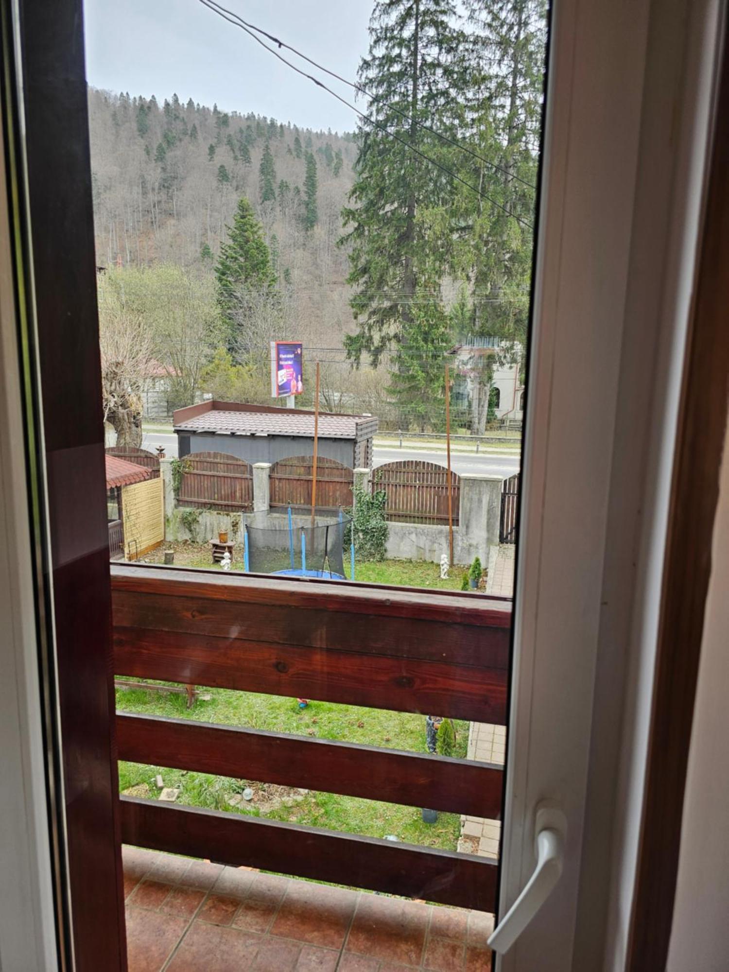 Villa Foisor Buşteni エクステリア 写真